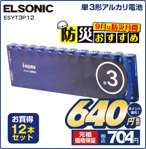 単3形アルカリ電池 ELSONIC ESYT3P12 お買得12本セット 税別640円 元祖価格保証 税込704円 ポイント還元！